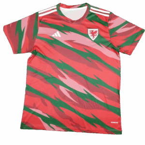 Galles - 2024 Maglia Allenamento