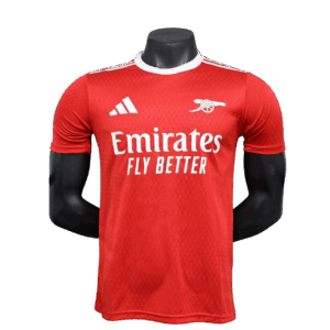 Arsenal Special - 24/25 Player Version