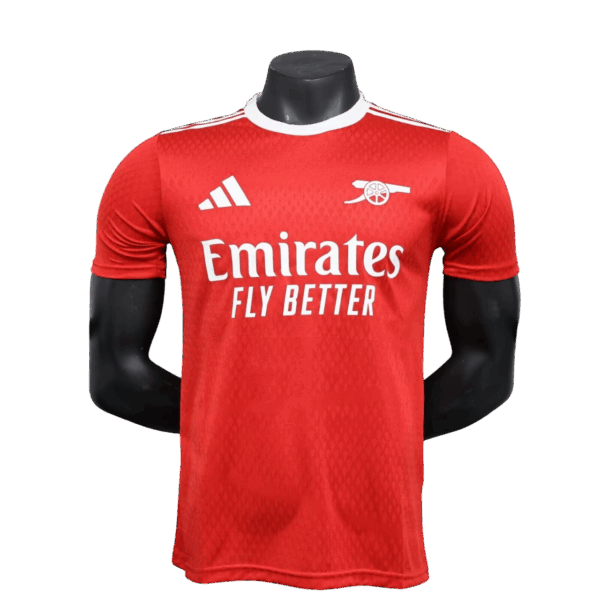 Arsenal Special - 24/25 Player Version