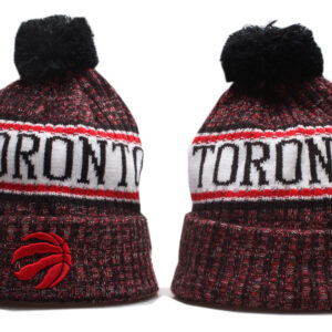 Cappello lana Toronto Raptors