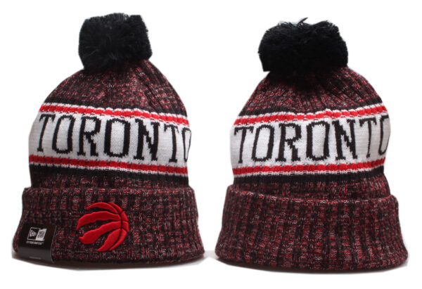 Cappello lana Toronto Raptors