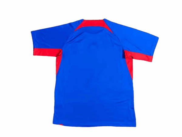 Maglia Slovacchia - 2024 - immagine 2