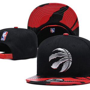 Cappellino Toronto Raptors