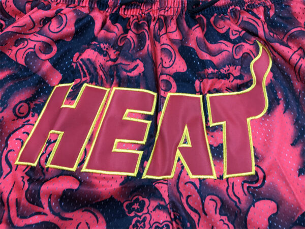 Miami Heat - immagine 7