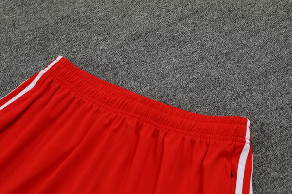 Kit Allenamento - Bayern Monaco 2024 - immagine 3