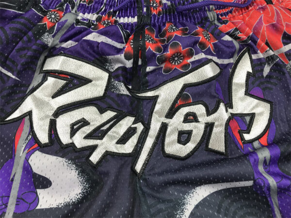 Toronto Raptors - immagine 3