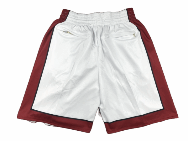 Miami Heat - immagine 2