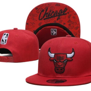 Cappellino Chicago Bulls