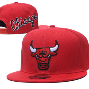 Cappellino Chicago Bulls
