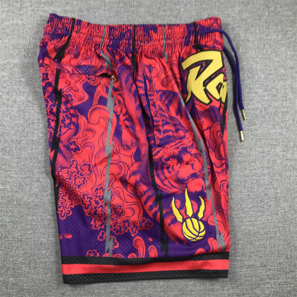 Toronto Raptors - immagine 3