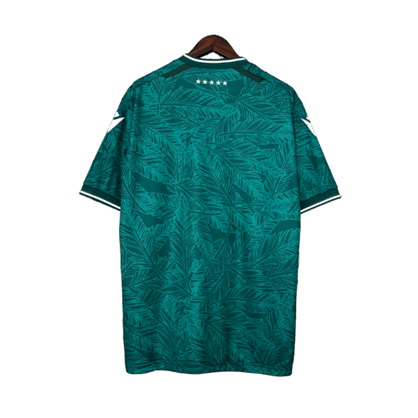 Santiago Wanderers - 24/25 - immagine 2