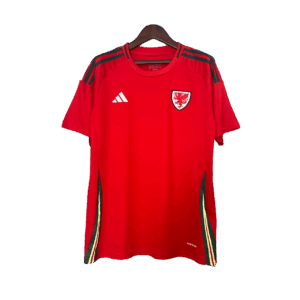Maglia Galles - 2024