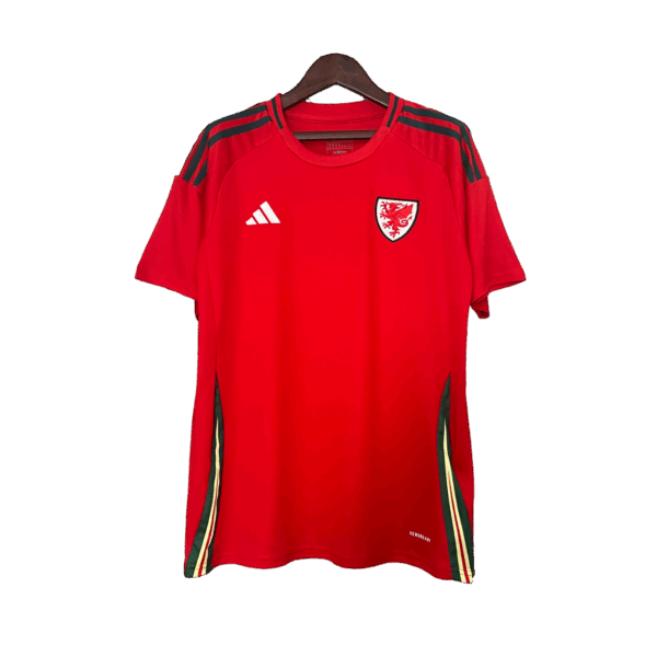Maglia Galles - 2024