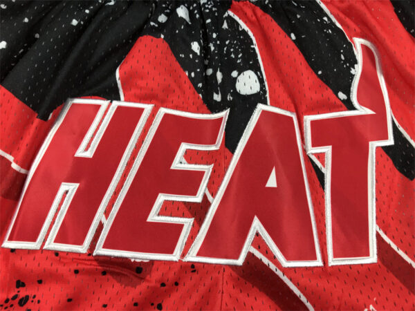 Miami Heat - immagine 5