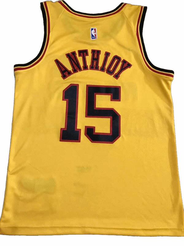 Carmelo Anthony Atlanta Hawks - immagine 2