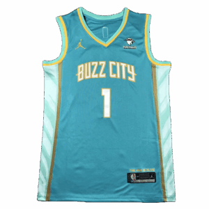 Swingman Charlotte Hornets