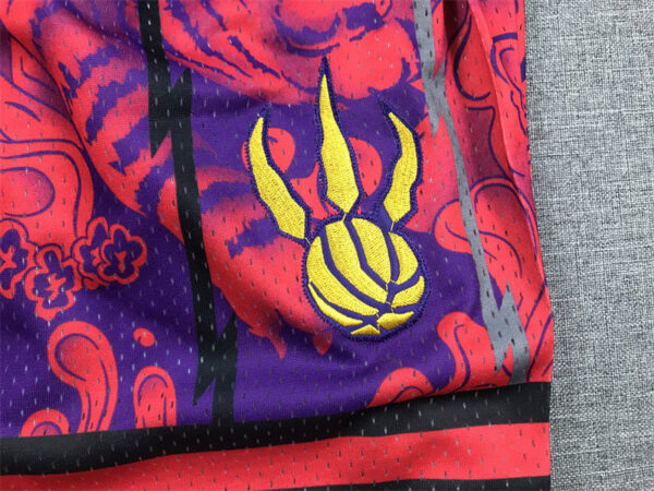 Toronto Raptors - immagine 7