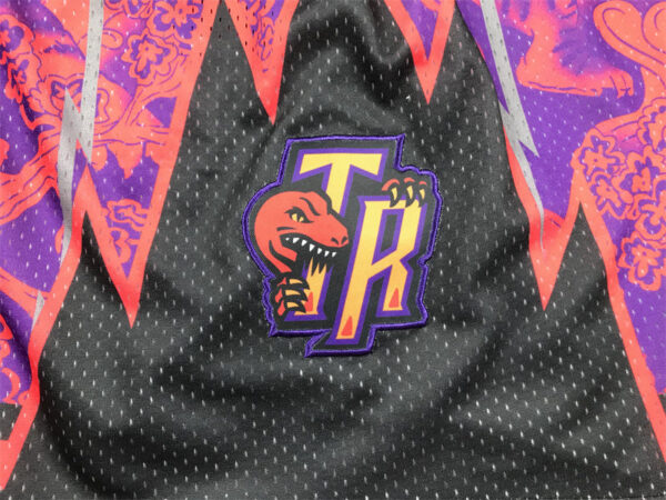 Toronto Raptors - immagine 6