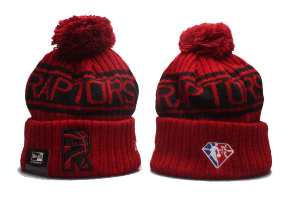 Cappello lana Toronto Raptors
