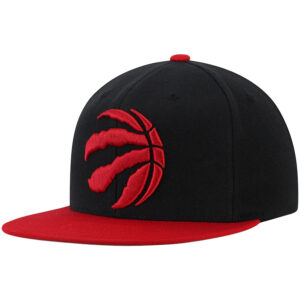 Cappellino Toronto Raptors