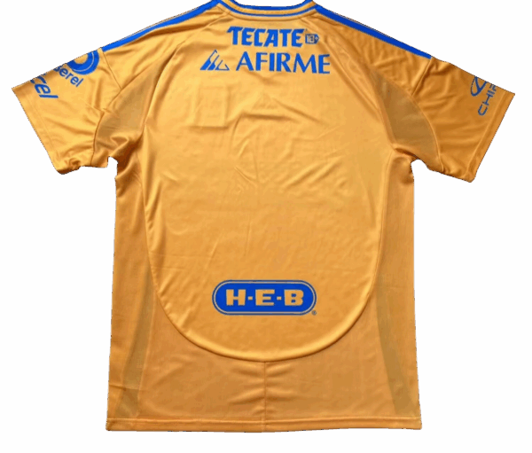 Tigres - 24/25 - immagine 2