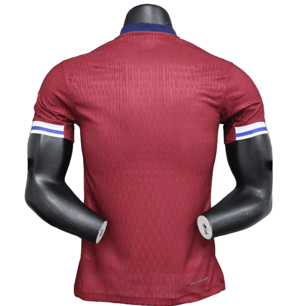 Norvegia - 2024 Player Version - immagine 2