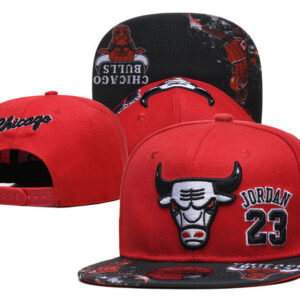 Cappellino Chicago Bulls