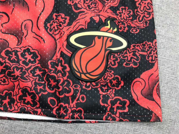 Miami Heat - immagine 5