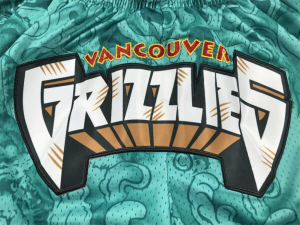 Vancouver Grizzlies - immagine 5