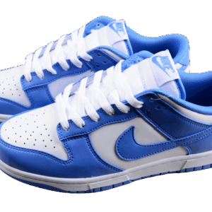 Nike Dunk Polar Blue