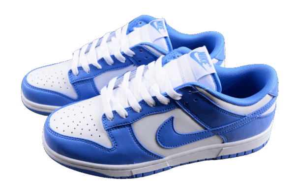 Nike Dunk Polar Blue
