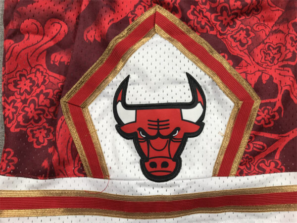 Chicago Bulls - immagine 5
