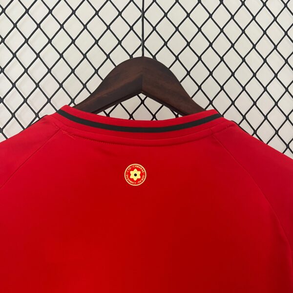 Maglia Galles - 2024 - immagine 3