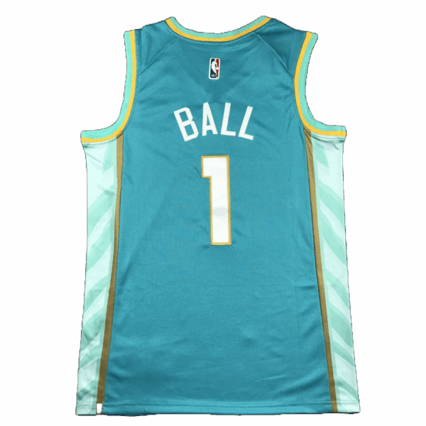 Swingman Charlotte Hornets - immagine 2