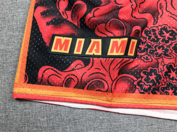 Miami Heat - immagine 6