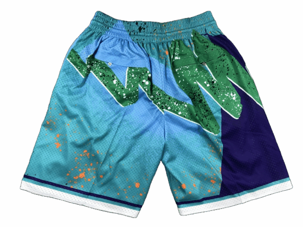 Charlotte Hornets - immagine 2