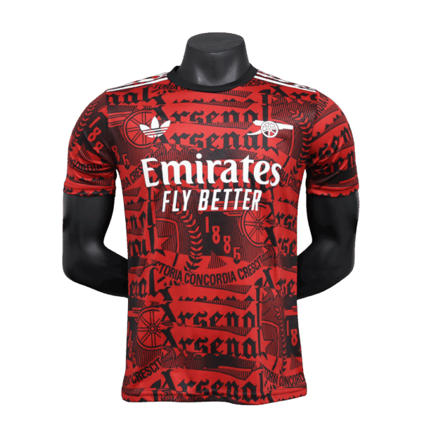 Arsenal Special - 24/25 Player Version