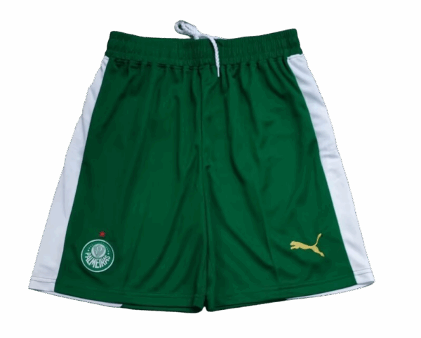 Palmeiras - 24/25 Shorts