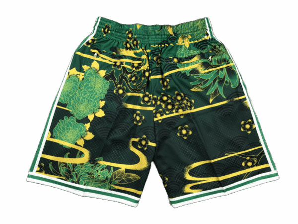 Boston Celtics - immagine 2