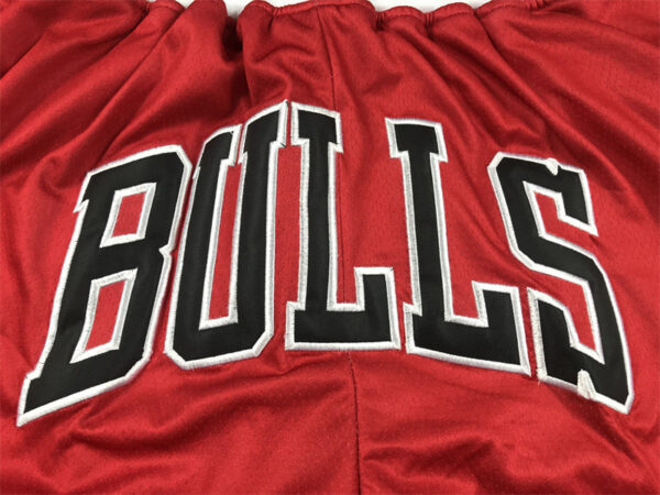 Chicago Bulls - immagine 5