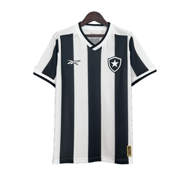 Botafogo - 24/25