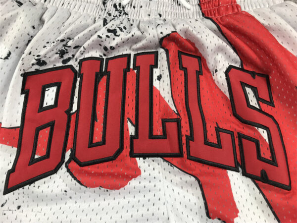 Chicago Bulls - immagine 5