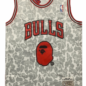 Chicago Bulls