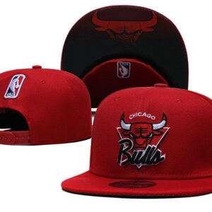 Cappellino Chicago Bulls