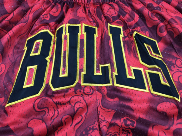 Chicago Bulls - immagine 6