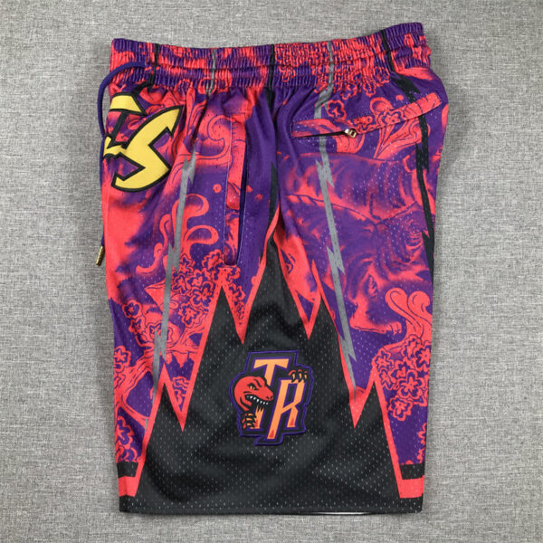Toronto Raptors - immagine 4