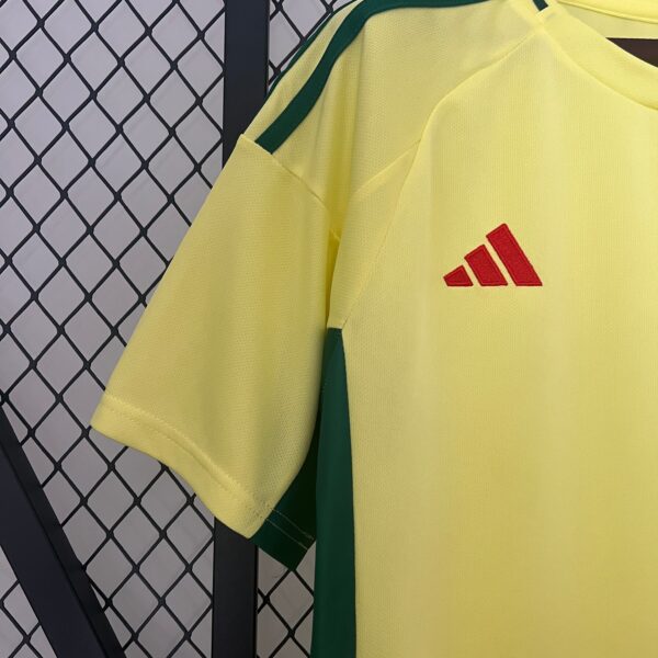 Maglia Galles Trasferta - 2024 - immagine 3