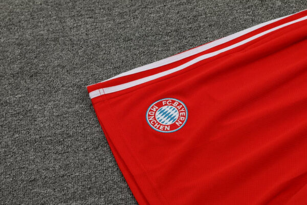 Kit Allenamento - Bayern Monaco 2024 - immagine 4
