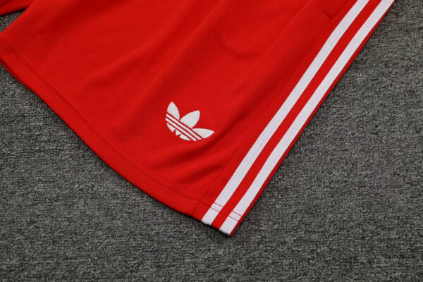 Kit Allenamento - Bayern Monaco 2024 - immagine 5