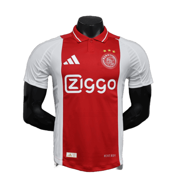 Ajax - 24/25 Player Version
